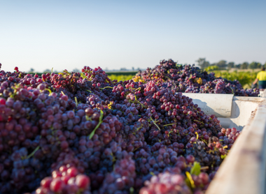 An Ode to Harvest: What is it?
